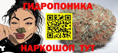 гидропоника Краснокаменск